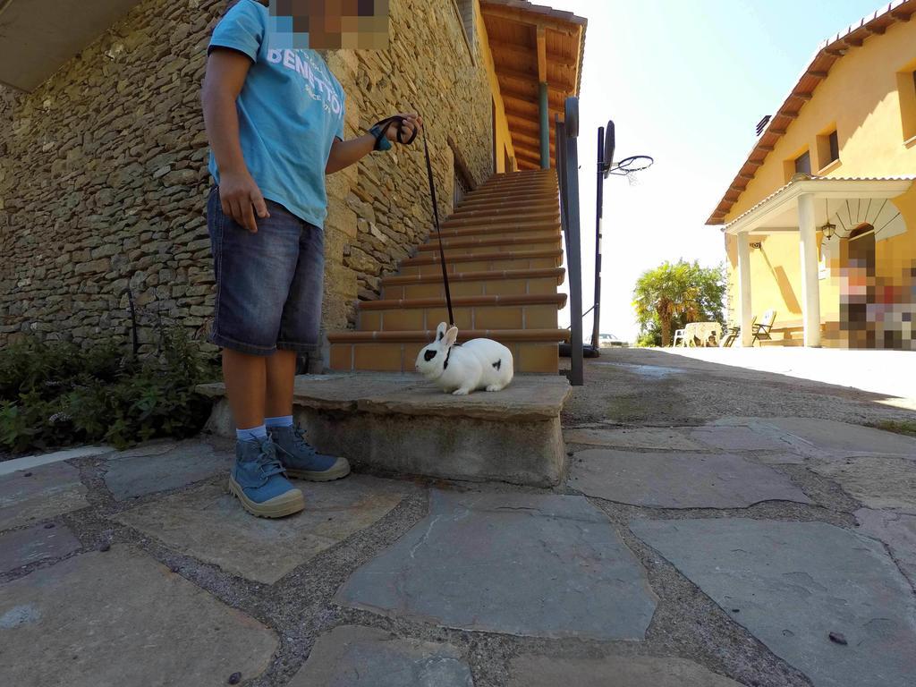 Casa Rural Graeras En Castigaleu ภายนอก รูปภาพ